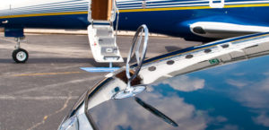 Read more about the article Interdum magna augue eget